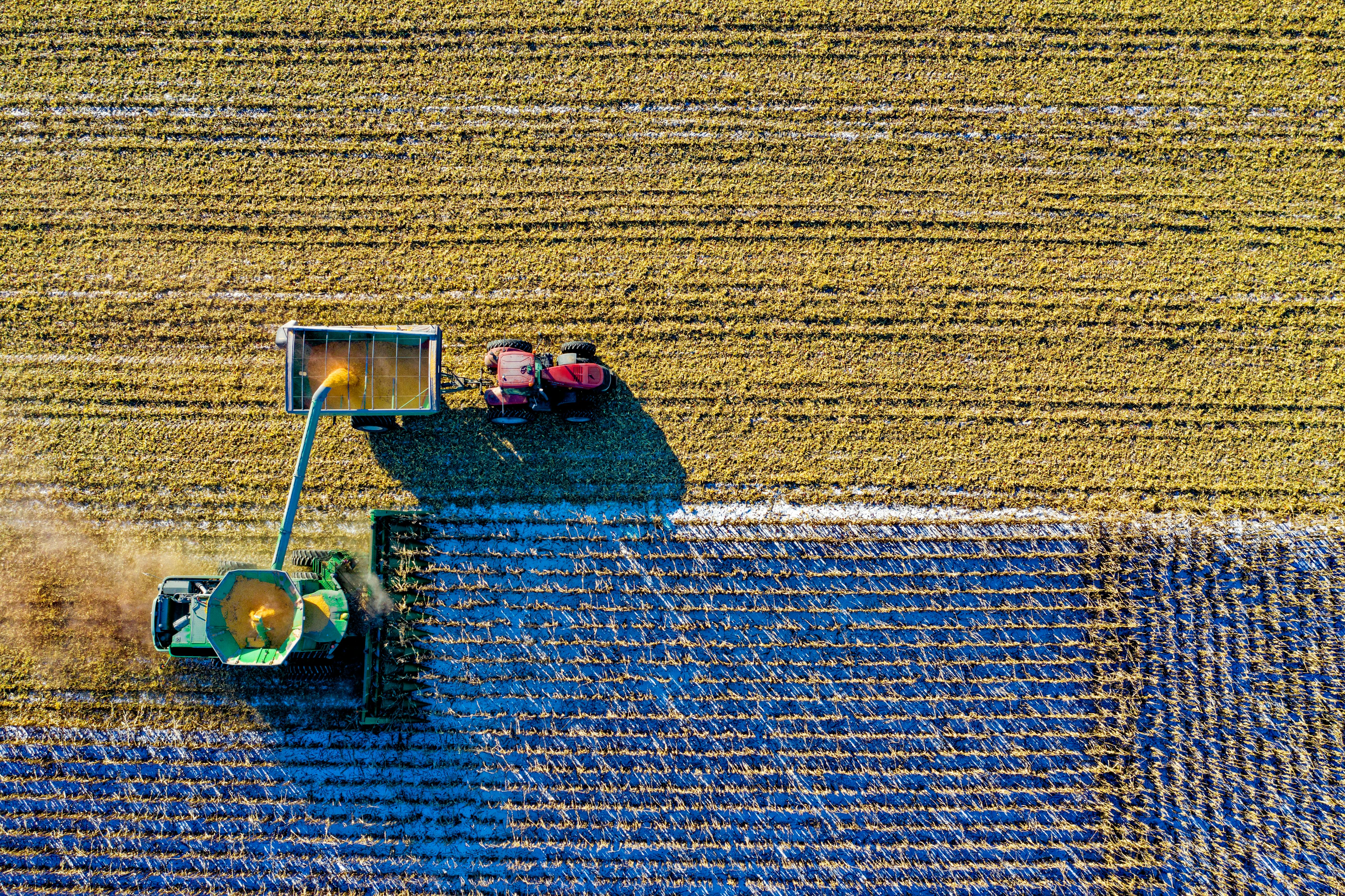 Agro Bridge Trading